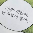 수세차