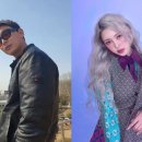 스타일 미