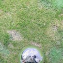 가나골프클리닉 이미지