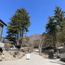 올라알파카 카페 이미지