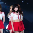피에스타 이미지