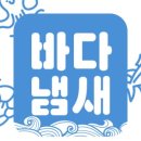 싱싱연어바다