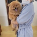 아우어패밀리 이미지