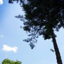 냉천골약수터 이미지