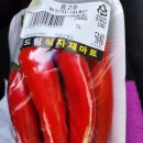 빛들농장 이미지