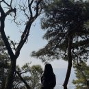 씨유화성천천IC점 | 수도권 등린이 등산코스 추천 경기도 화성 칠보산 소요시간 및 주차