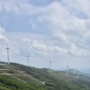 육백마지기 이미지