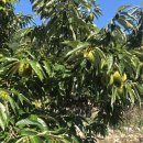 딱좋은밤 이미지