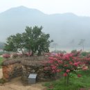 상리길(풍산읍) 이미지