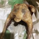 그시절옛날통닭(죽도점) 네이버블로그
