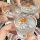 2736 | 제주 로컬 맛집 솔지식당~ 흑돼지와 멜조림이 끝내주는 후기