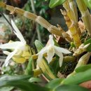 석곡농장 이미지