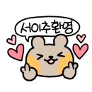 속초사잇길 제5길 이미지