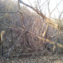 명서초 버스정류소 이미지