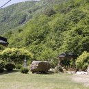 한빛건강원 이미지