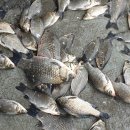 대박낚시터 이미지