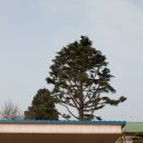 마룡초등학교 이미지