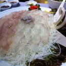 금오횟집