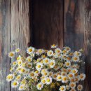 실용영어회화 (중급) 이미지