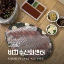 고성 횟집｜비치수산회센터 모듬회 포장 후기, 신선하고 푸짐했던 봉포항 맛집