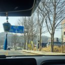 성산흑염소 이미지