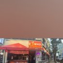 분식&포차