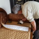생명건강식품의료기