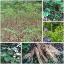 방글농장 이미지