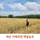농부 | 예산 카페추천 백설농부 후기, 아이와 가기 좋은 스플라스 리솜 근처 카페