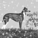 남일2체육관