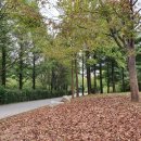 난지천4(놀이터) 이미지