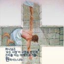 샬롬 Daum카페