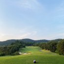 서프로 골프아카데미 이미지