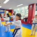 동아대동일태권도 이미지