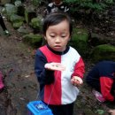 상천초등학교 병설유치원 이미지