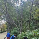 제8회 순천시 MZ청소년 끼 경연대회 이미지