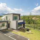 비로소 봄 이미지