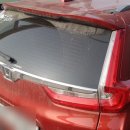 전국손세차 이미지