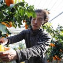 소성농장 이미지