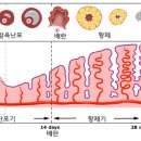 생기나라한의원 이미지