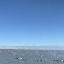 푸른 태양광 발전소 이미지