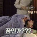 동의보감민박 네이버블로그