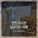 전곡-28 | 연천 아이와 가볼만한 곳｜은대리 문화벽돌공장 <도달한 삶의 찰나> 무료 전시 체험존 후기