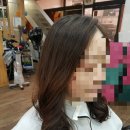 초지헤어라인