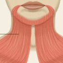 더도어성형외과의원 이미지