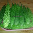여주-0087 Daum카페