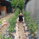 세영이용소