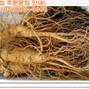 금산인삼 - 중구 대신동 | 금산인삼