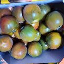 거금의원 이미지