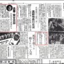 박정희로-4 Daum카페